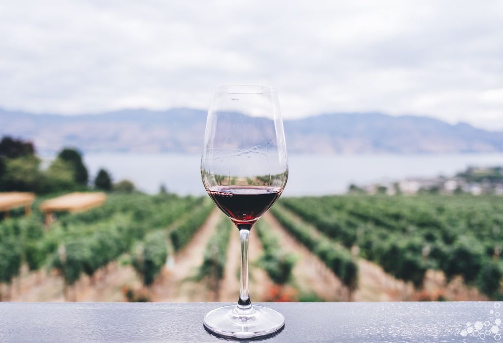 Greecious Imports - Premium Greek Wine