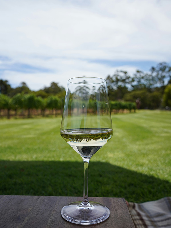 Magic Mountain White, Dry Greek White Wine, 100% Sauvignon Blanc by Nico Lazaridi Winery