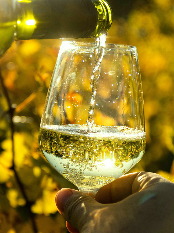 Meteoro Assyrtiko, Dry Greek White Wine, 100% Assyrtiko by Meteoro  Winery