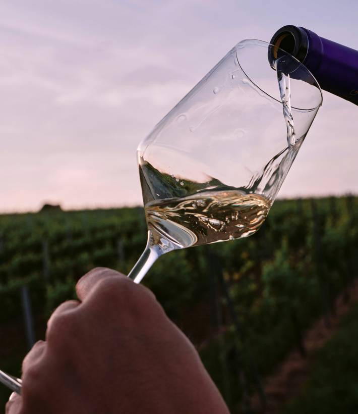 Greek Wine Tasting in Vineyards